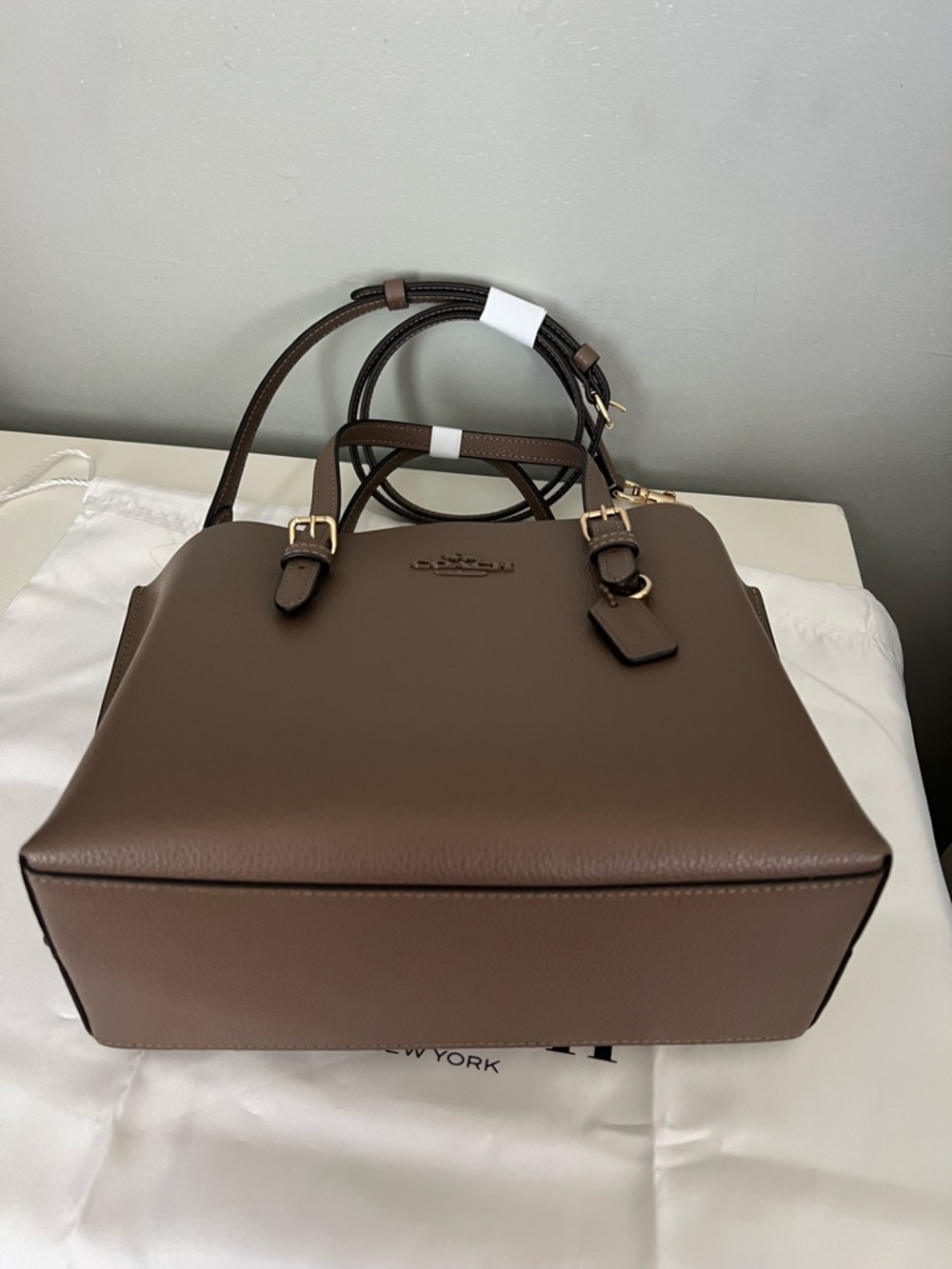 Coach Mollie Tote 25 Set - Picture 4 of 10